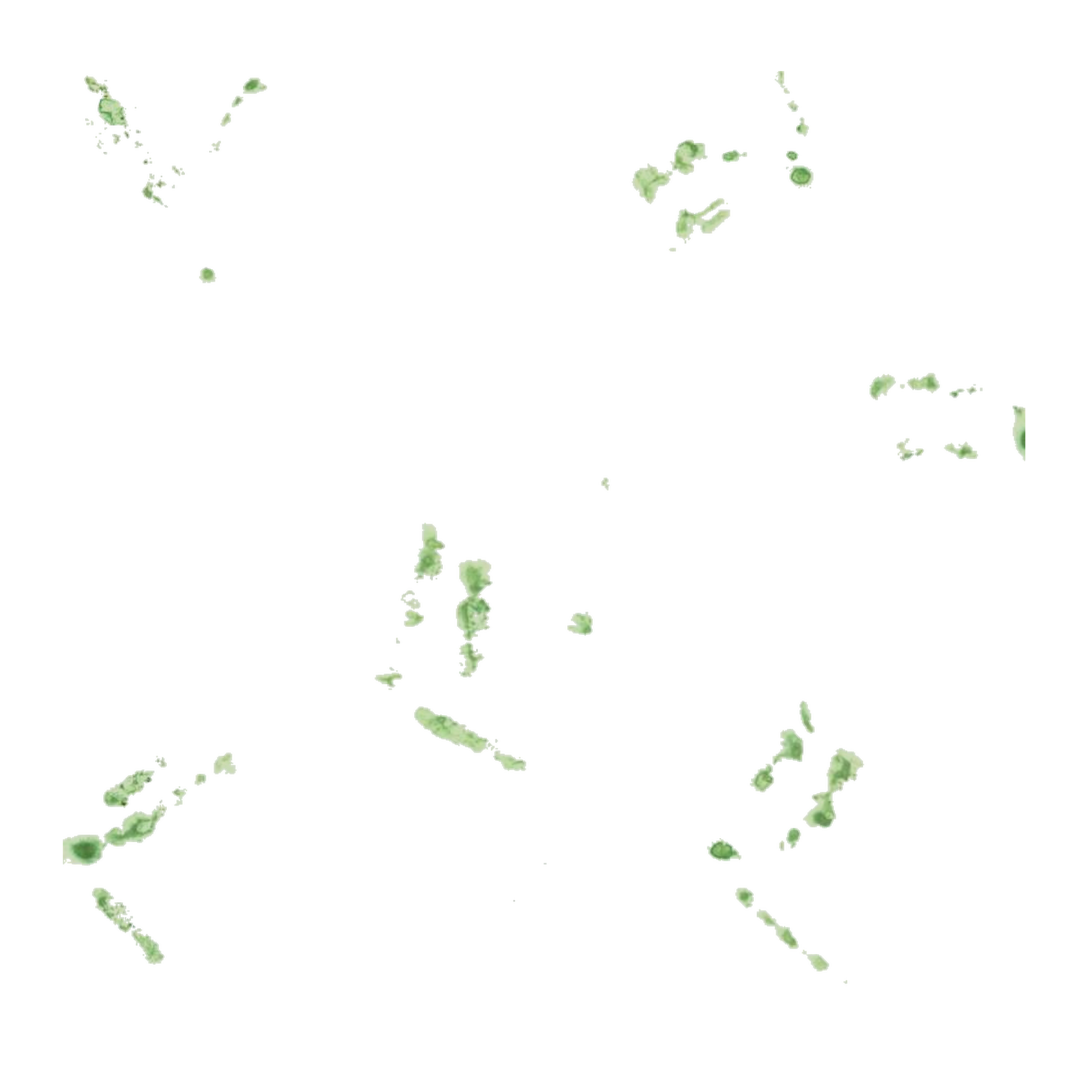 Lupa Footprints