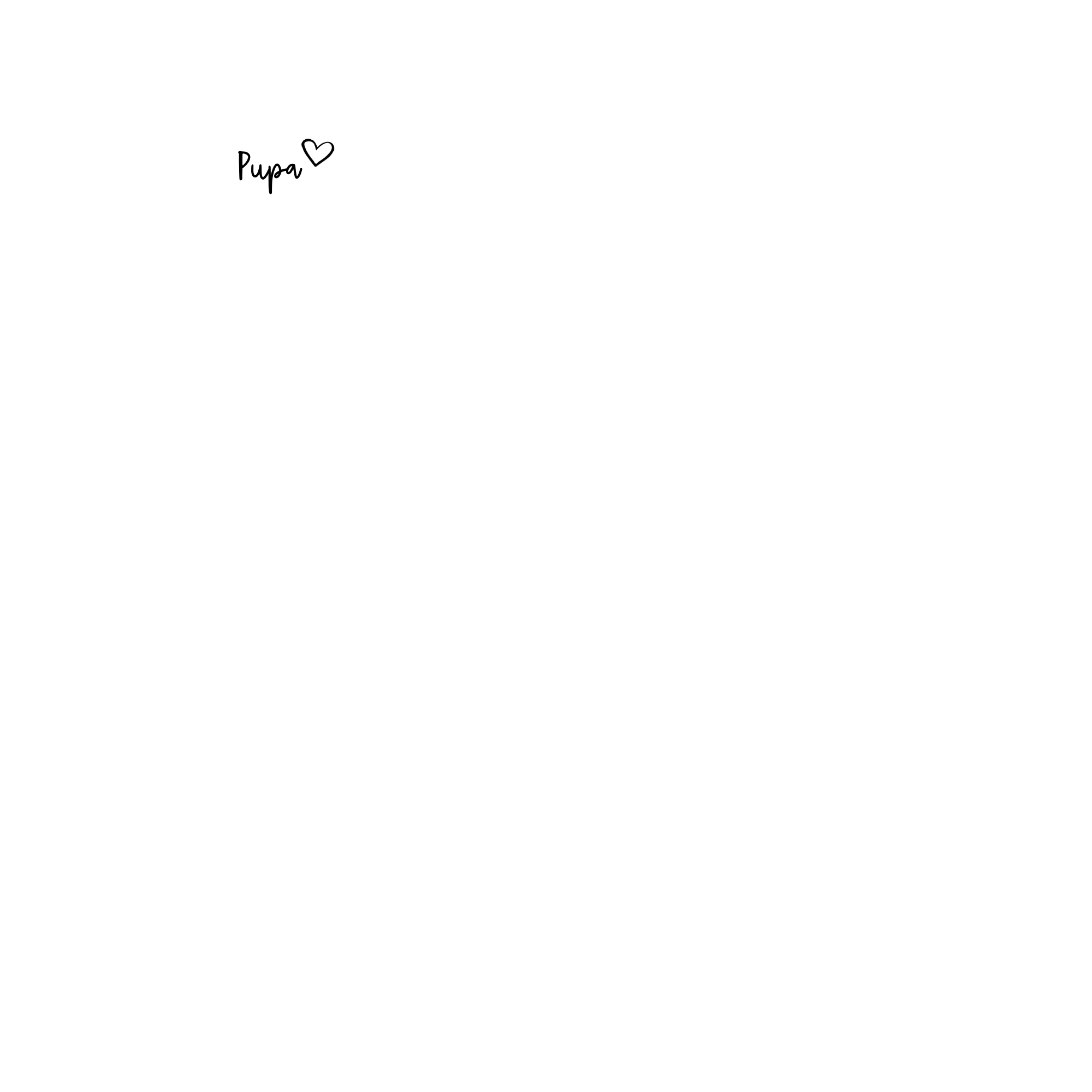 Pupa Reverse