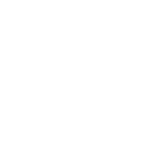 TikTok Logo